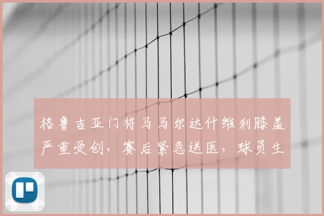 格鲁吉亚门将马马尔达什维利膝盖严重受创,赛后紧急送医,球员生涯或面临重大考验